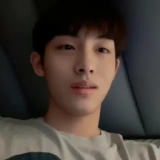 Sticker from WINWIN › @ARCHRIIZENCT