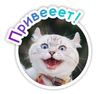 Sticker from LolliPolly Funny Life