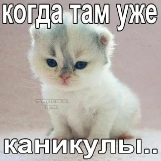 😢 emoji Я НЕ СОБИРАЮСЬ.. Telegram sticker 22 of 120