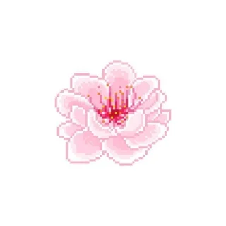 🌟 emoji 🩷𝐃𝐚𝐡𝐥𝐢𝐚🩷 Telegram sticker 20 of 45