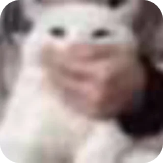👍 emoji Стикеры @SylphoriXx: @fStikBot Telegram sticker 24 of 97