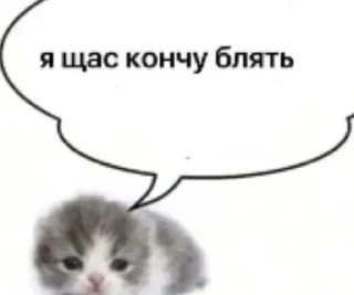 🥵 emoji OLE OLE OLE RUSSIA ВПЕРЁД!!! Telegram sticker 23 of 76