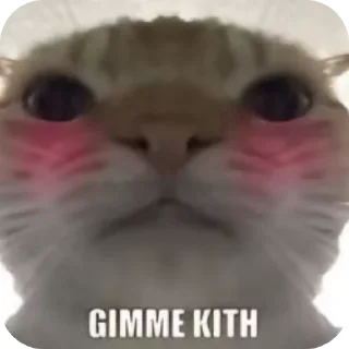 🥰 emoji Mem-Cat Telegram sticker 6 of 32