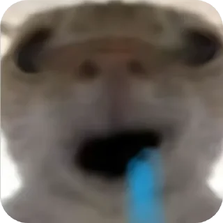 Sticker from Mem-Cat
