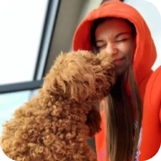 💇 emoji 𝐚𝐟𝐫𝐨𝐬𝐡 𝐛𝐲 @igraemturk Telegram sticker 7 of 80