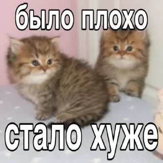 😐 emoji Жизн Telegram sticker 8 of 104