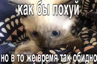 🤕 emoji Жизн Telegram sticker 6 of 104