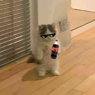 Sticker from Мем коты