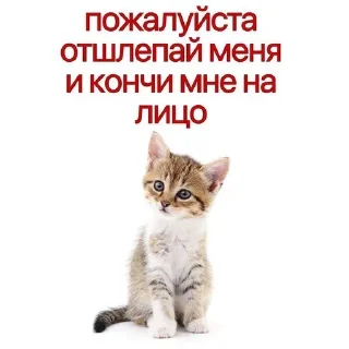 😭 emoji котыбля Telegram sticker 16 of 79