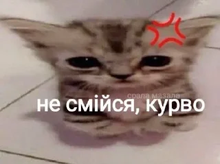 😤 emoji cumфортік Telegram sticker 19 of 47