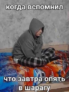 😶 emoji логисты как смысл жизни Telegram sticker 11 of 43