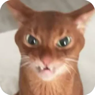 🫥 emoji сосиски Telegram sticker 8 of 31