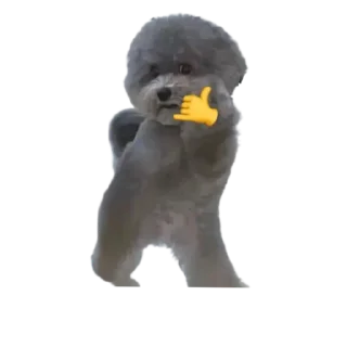 🤙 emoji bubidog Telegram sticker 23 of 58
