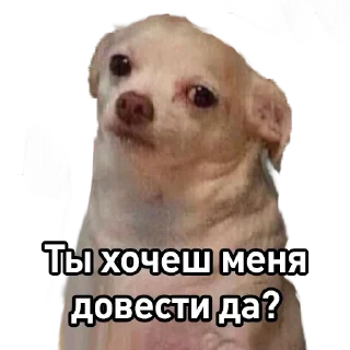 😨 emoji PETS1 @pikline Telegram sticker 24 of 88