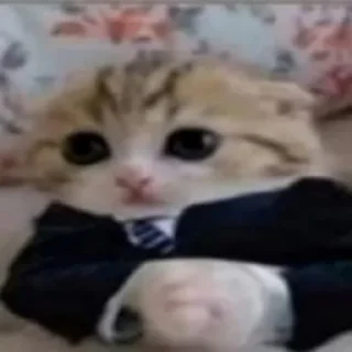🧐 emoji ХА-ХА-ХА Telegram sticker 10 of 113