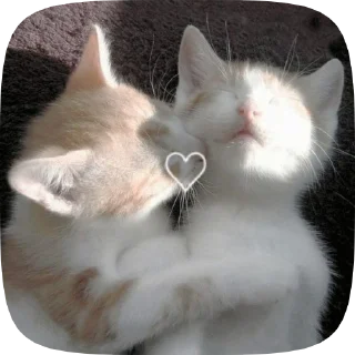 🥰 emoji мы!! Telegram sticker 11 of 50