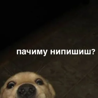 😭 emoji СЕКС Telegram sticker 14 of 120