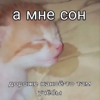 Sticker from щп