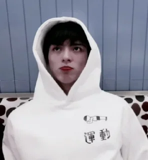 🙃 emoji Wang Haoxuan🖤 Telegram sticker 5 of 34