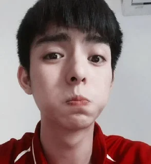 🥴 emoji Wang Haoxuan🖤 Telegram sticker 1 of 34