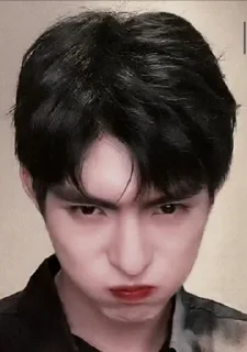 😠 emoji Wang Haoxuan🖤 Telegram sticker 20 of 34