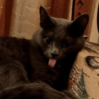 😛 emoji шерсти Telegram sticker 17 of 104
