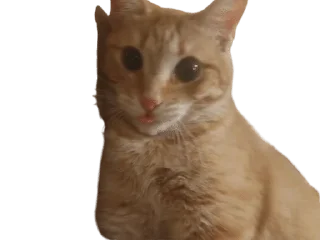 🌟 emoji Otya Telegram sticker 24 of 35