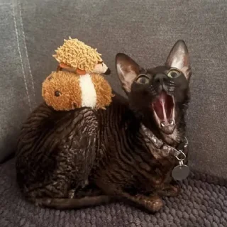 😩 emoji та, а купі баумті Telegram sticker 21 of 120