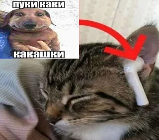 Sticker from пуки каки
