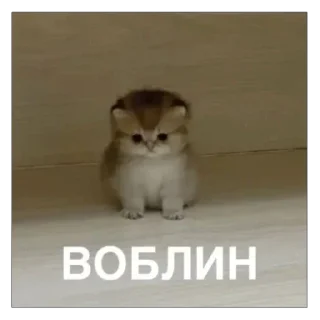 🙁 emoji пуки каки Telegram sticker 21 of 113
