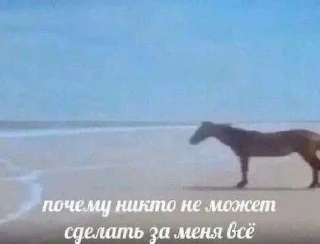 Sticker from Булька барабулька