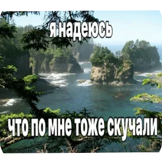 🌴 emoji жизненные надписи Telegram sticker 24 of 41