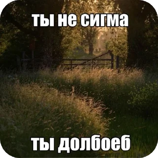 🖼 emoji жизненные надписи Telegram sticker 14 of 41