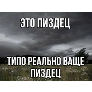 🖼 emoji жизненные надписи Telegram sticker 6 of 41
