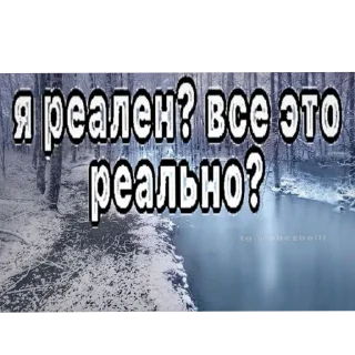 🖼 emoji жизненные надписи Telegram sticker 13 of 41