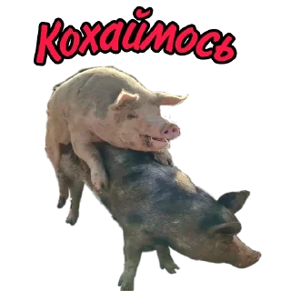 Sticker from Welcome to ChatHub