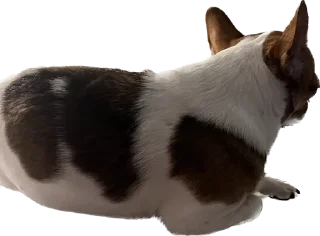 🤐 emoji чебок Telegram sticker 5 of 25