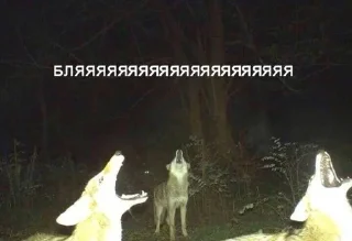 🌟 emoji что это Telegram sticker 11 of 120