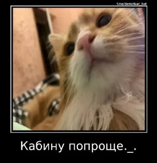 ☺️ emoji кица епт Telegram sticker 10 of 17