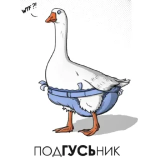 😳 emoji Гуси [] Telegram sticker 8 of 23