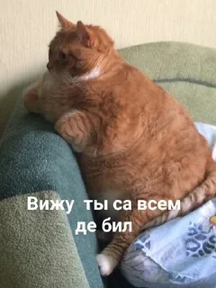 Sticker from Ненавижу