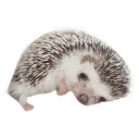 Sticker from Ежи Микегин