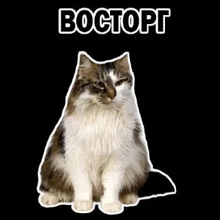 🙀 emoji Что то Telegram sticker 5 of 46