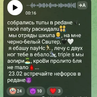 🕷 emoji ЧВК РЕДАН 🕷🕸 [@rinkagu]🕷🕸 Telegram sticker 18 of 50