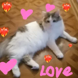 💗 emoji Milka Telegram sticker 5 of 11