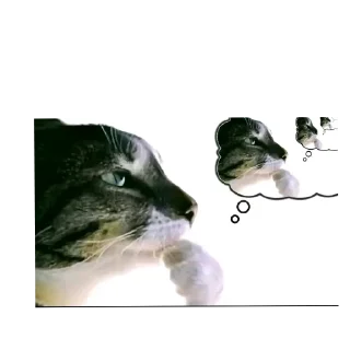 🐱 emoji пов комм в тт: Telegram sticker 7 of 120