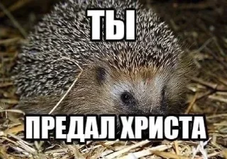 😡 emoji Иисус: @Pea4_stickerbot Telegram sticker 17 of 24