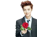 🌹 emoji @jonafzan Sehun EXO Telegram sticker 24 of 101