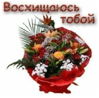 😍 emoji че Telegram sticker 7 of 49