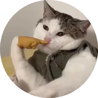 ☝️ emoji Kultkota Telegram sticker 24 of 52